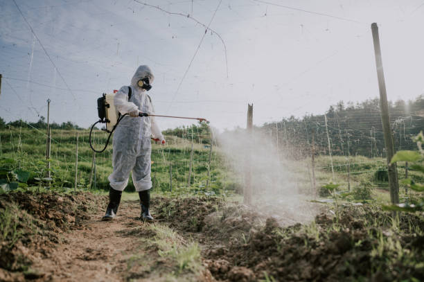Best Ant Control Services  in Clarence, IA