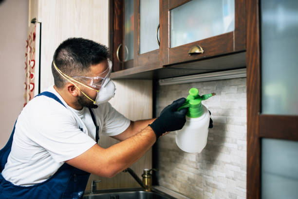 Best Best Pest Control Companies  in Clarence, IA