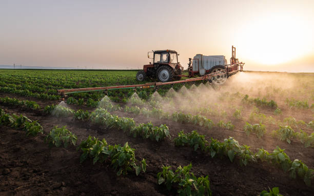 Best Affordable Exterminators  in Clarence, IA