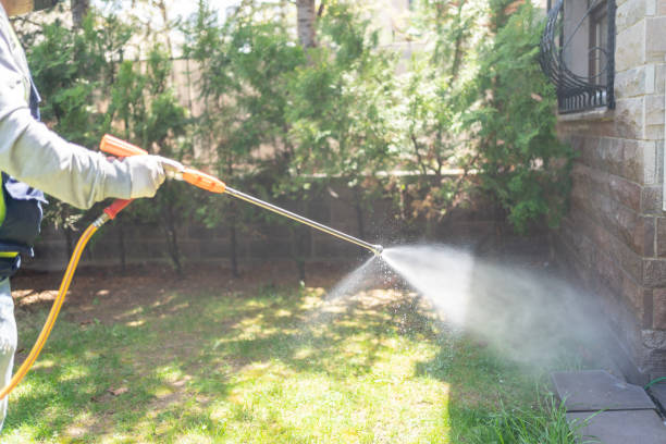 Best Exterminator Services  in Clarence, IA