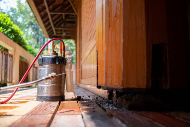 Best Exterminator Services  in Clarence, IA