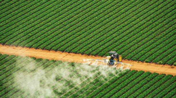 Best Commercial Pest Control Services  in Clarence, IA